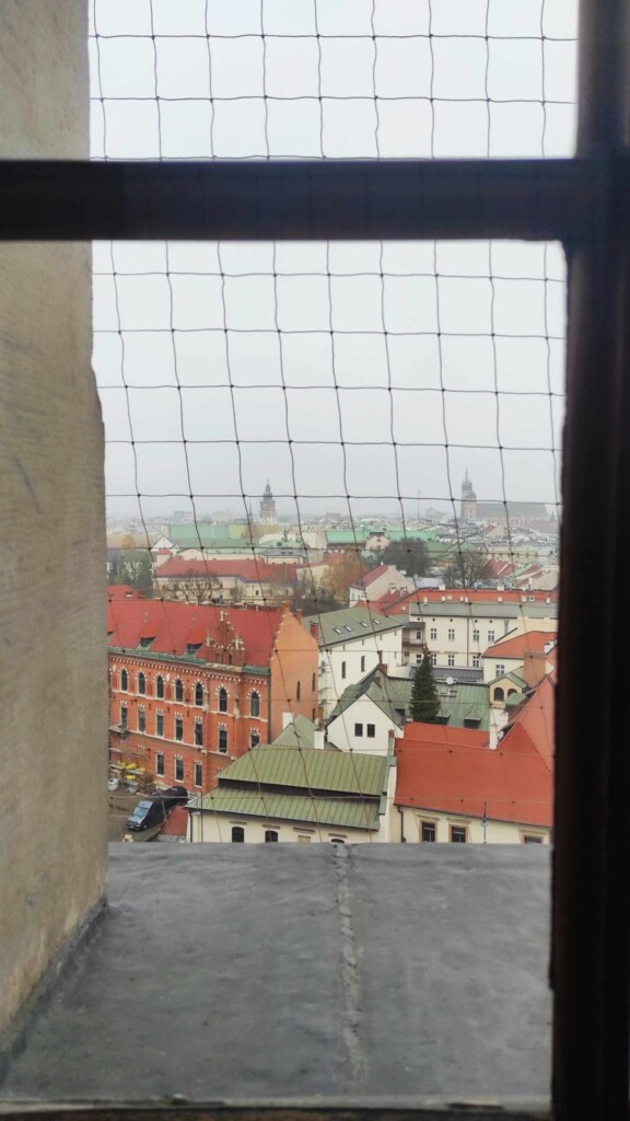 Cracovia la sfârșit de toamnă: orașul care îți intră în suflet chiar și când cerul e gri