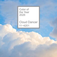 culoarea anului 2026 cloud dancer pantone