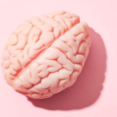 Vârstele creierului: studiul care arată că suntem adolescenți până la 32 de ani!