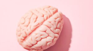 Vârstele creierului: studiul care arată că suntem adolescenți până la 32 de ani!