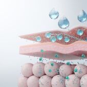 bariera-pielii